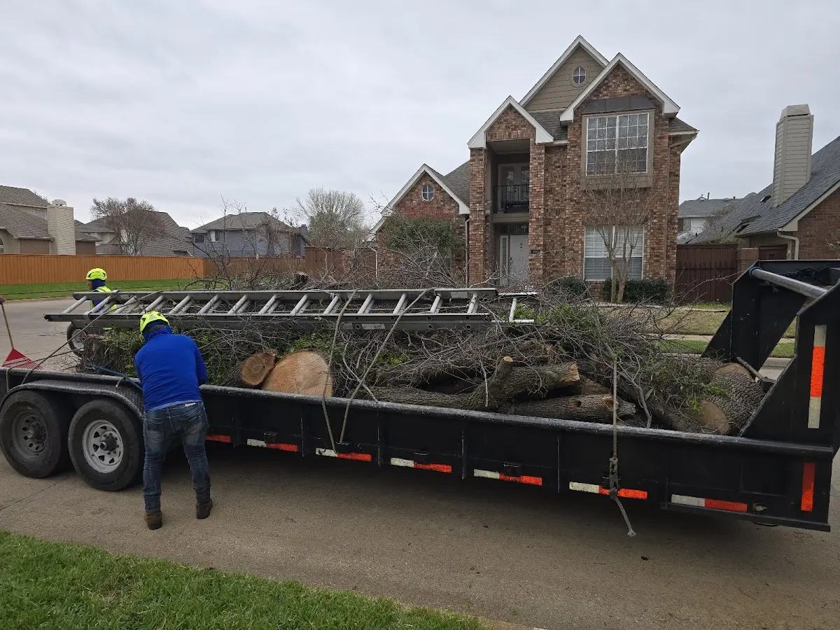 Expert Tree Removal with proper safety equipment in Clintonville